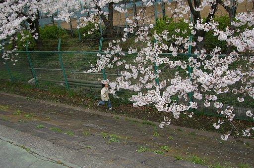 さいたぁ〜