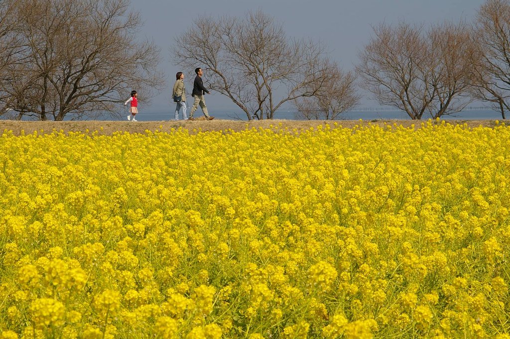 散歩道