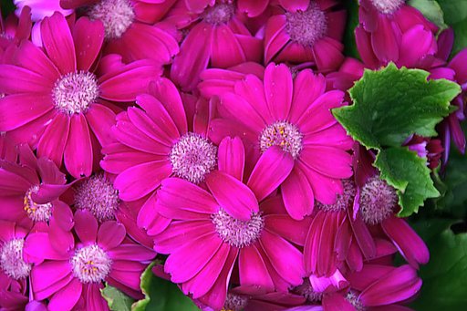 花
