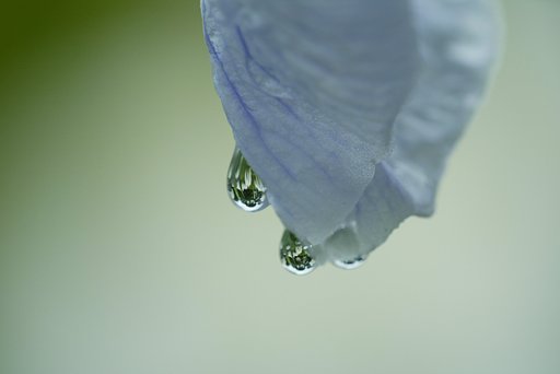 涙