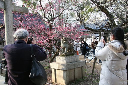 【写楽】撮影会!?