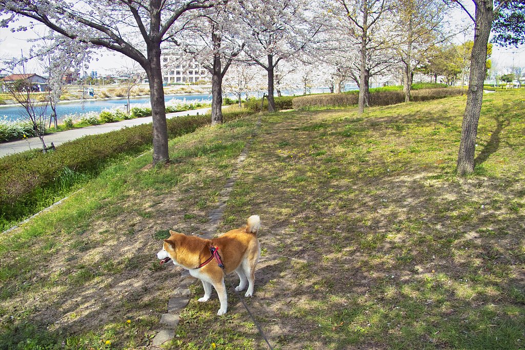 名古屋、きましたーっ！　Ⅱ