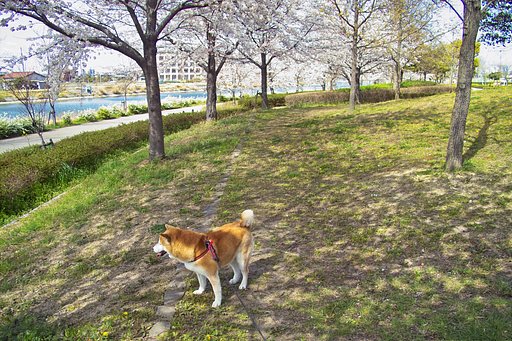 名古屋、きましたーっ！　Ⅱ