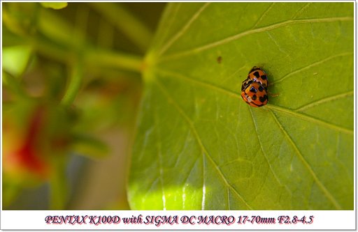 お取り込み中