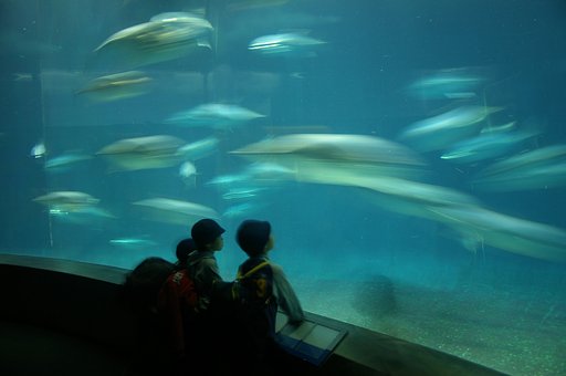 水族館