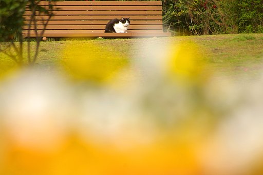 日向ぼっこ