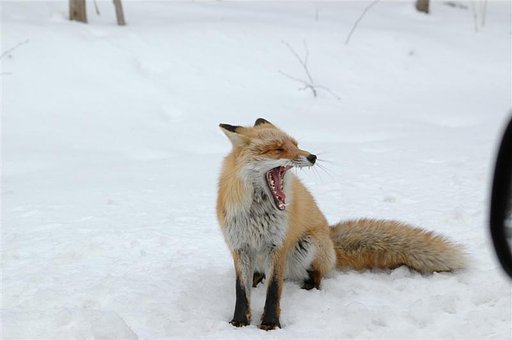 ふぁぁぁぁぁ〜〜〜