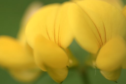 散歩の途中にて１枚