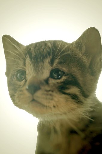 私のいい加減な補正