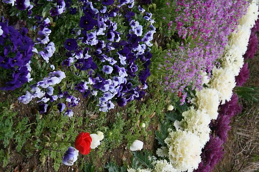 【花】思いのままの色に