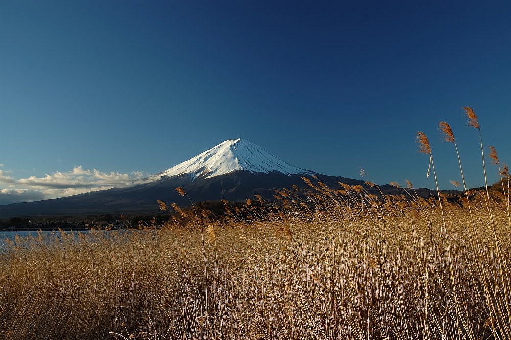 河口湖からの富士山