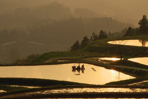 棚田夕景