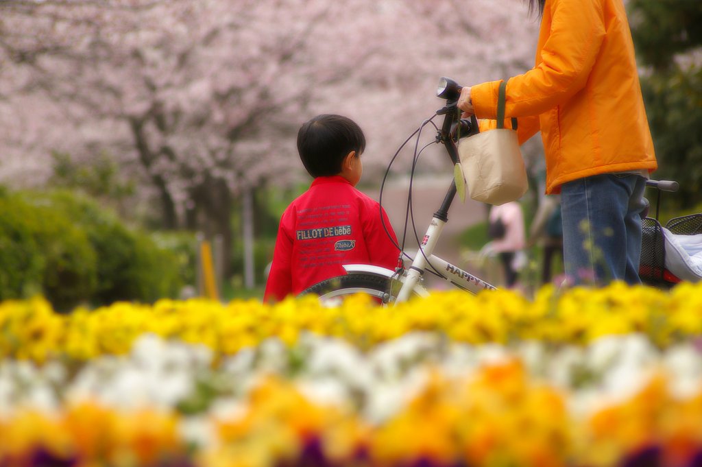 ママ、お花いっぱいだね！