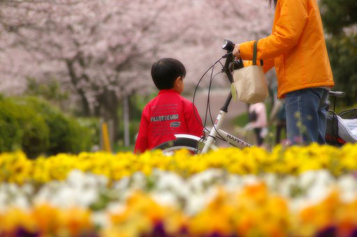 ママ、お花いっぱいだね！
