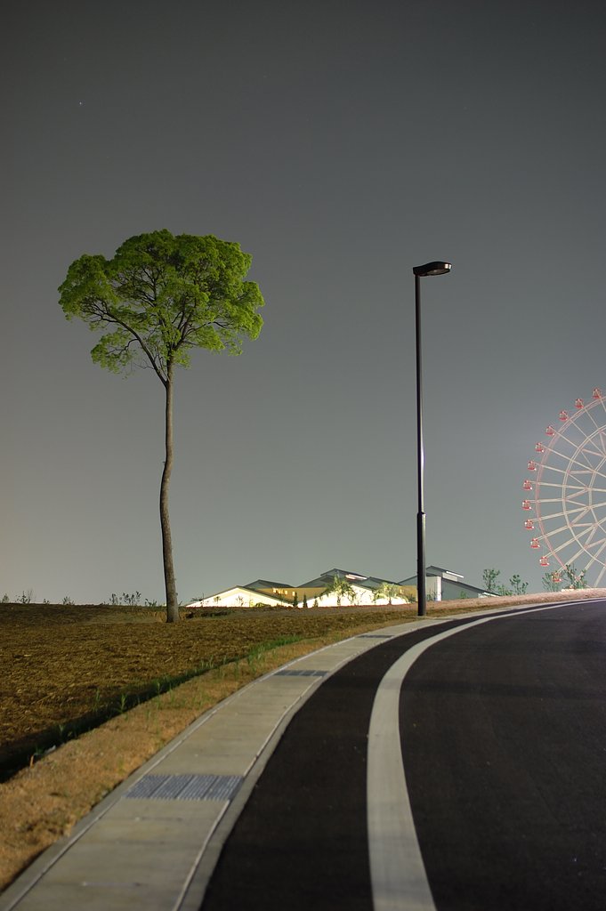 背比べ