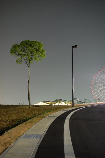 背比べ