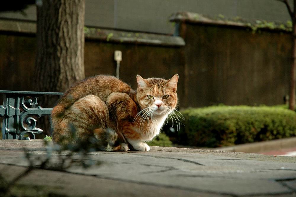 光を受けて