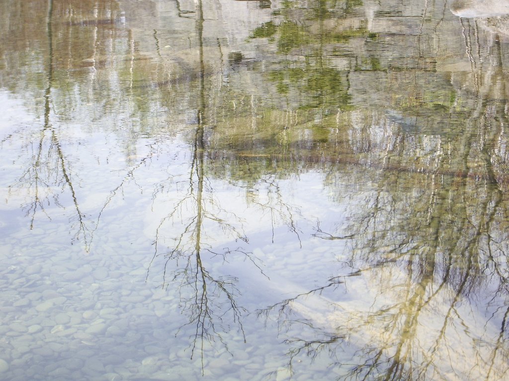 公園