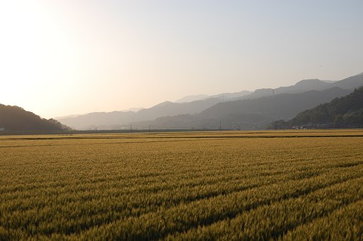 見慣れた景色　通勤編