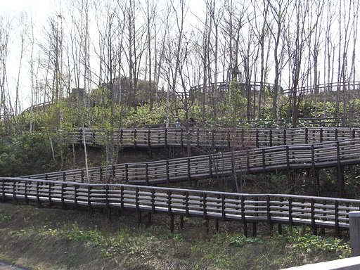 迷路