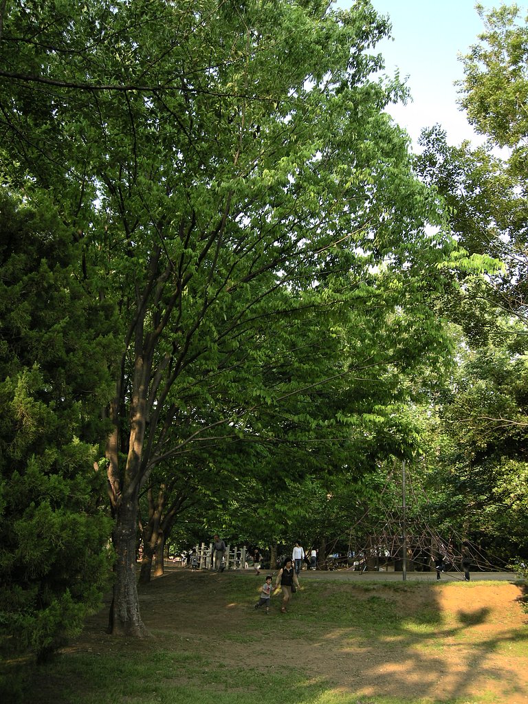 公園午後５時