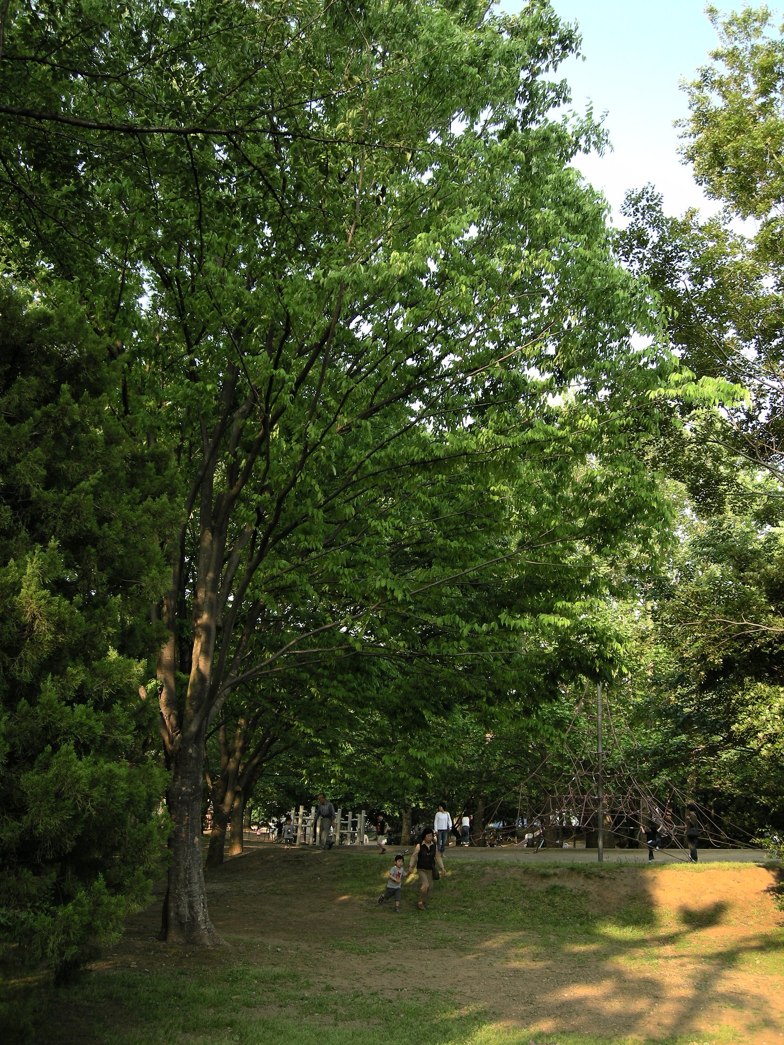 公園午後５時