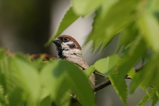 いい季節だね