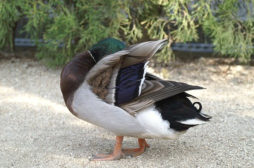 恥ずかしー撮らないで！
