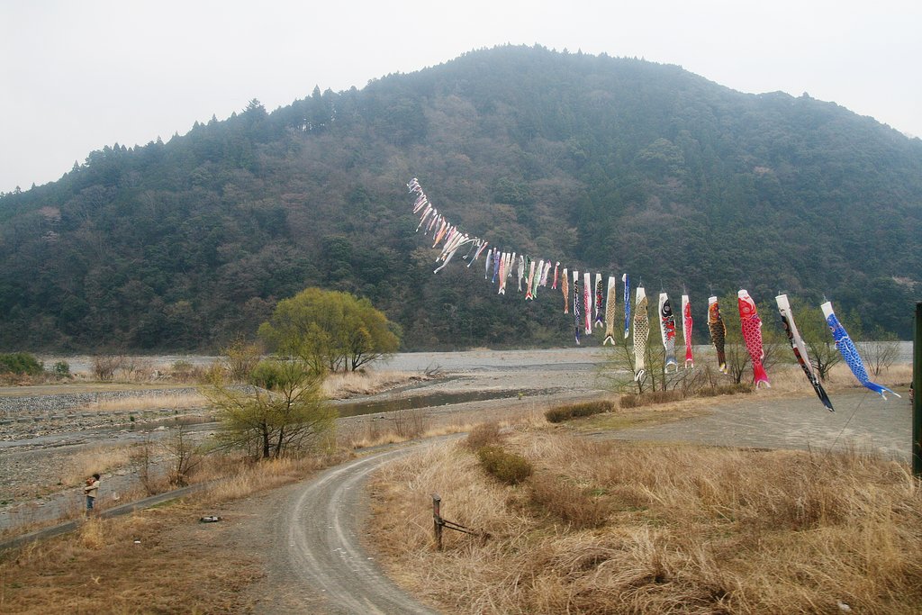 SLの旅、車窓より（鯉のぼり）