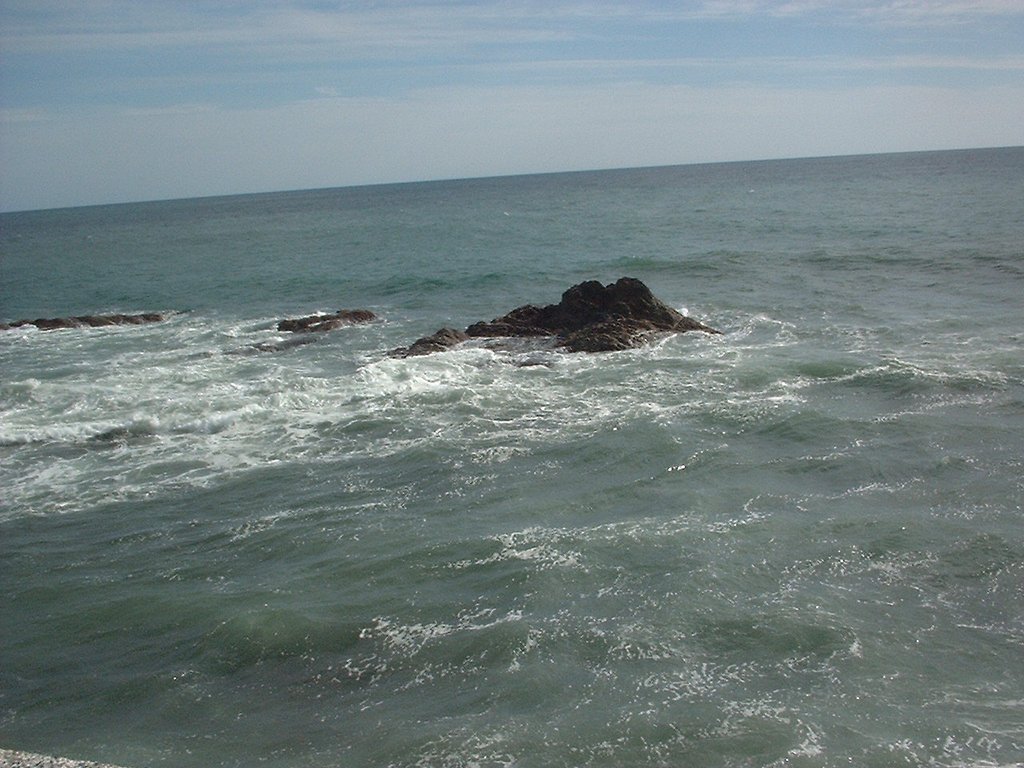 海って・・
