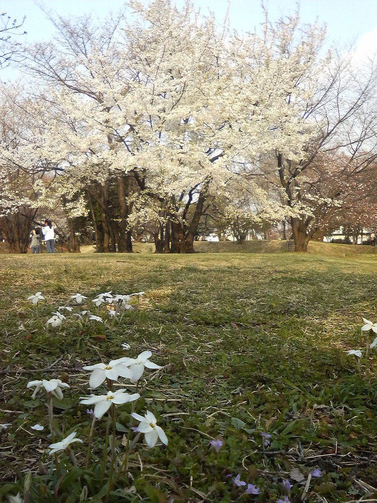テスト撮影