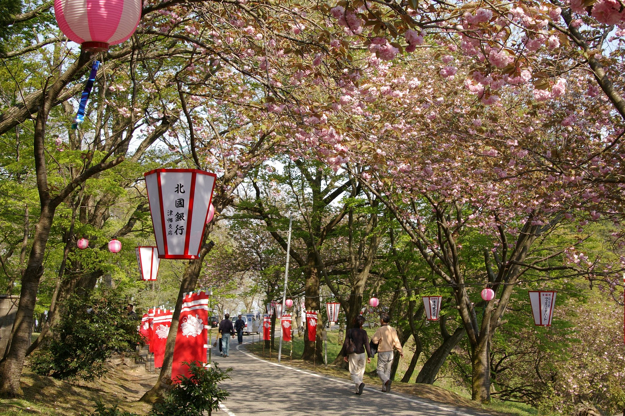 心はウキウキ桜色