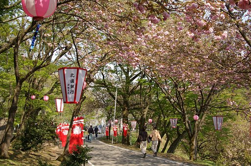 心はウキウキ桜色
