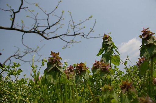 もっと高く