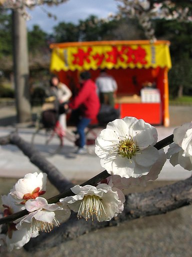 小春日和