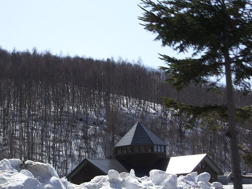 山の中に・・