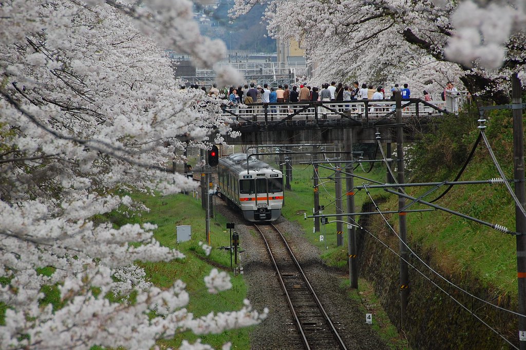 電車が来たぞー2007