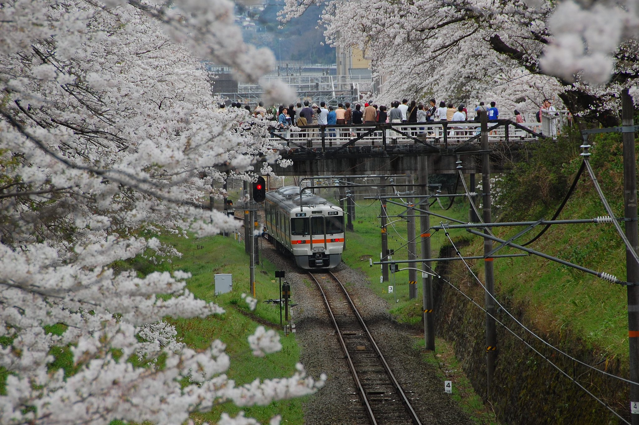 電車が来たぞー2007