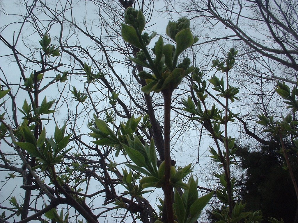 撮りたて・・