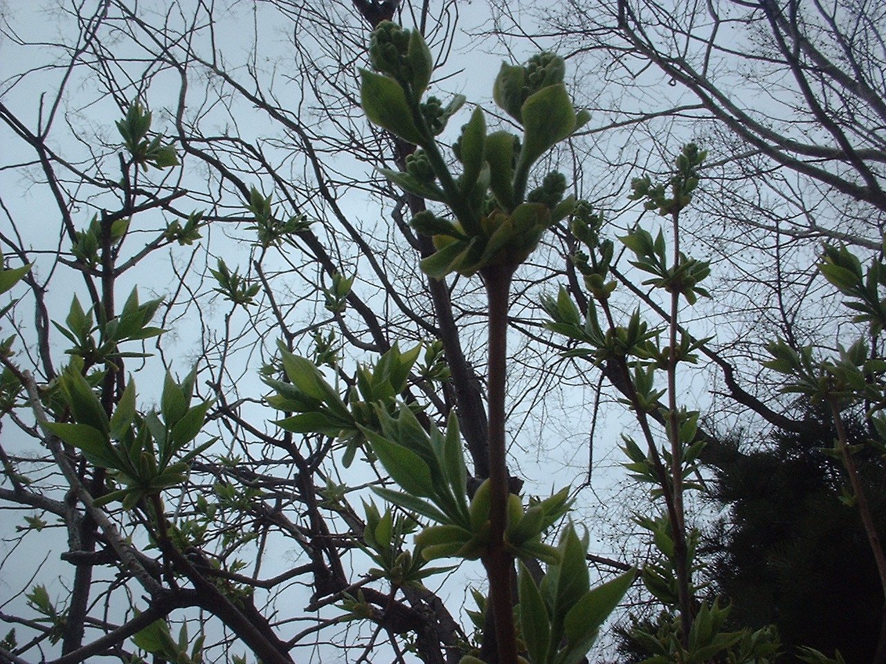 撮りたて・・