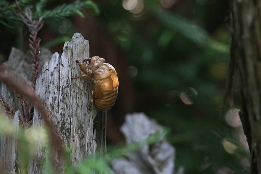 一点採光にチャレンジ