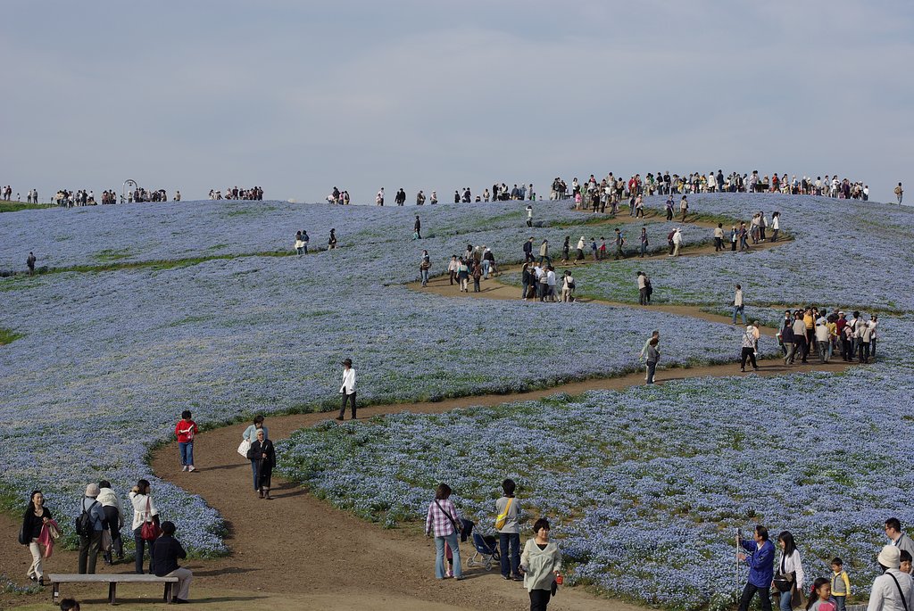その名も、みはらしの丘・・・