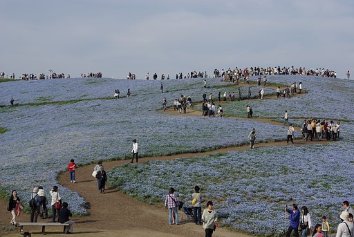 その名も、みはらしの丘・・・