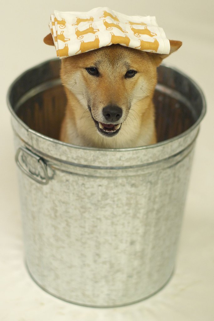いい湯だな♪