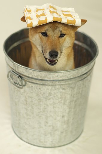 いい湯だな♪