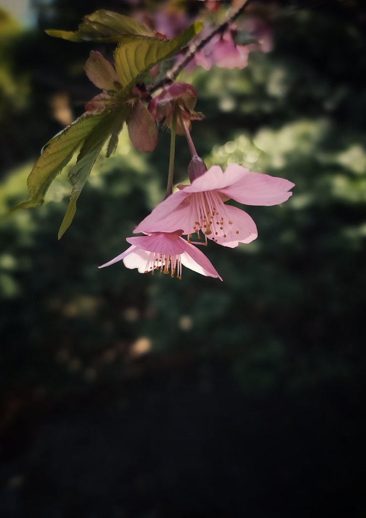 静謐な対話
