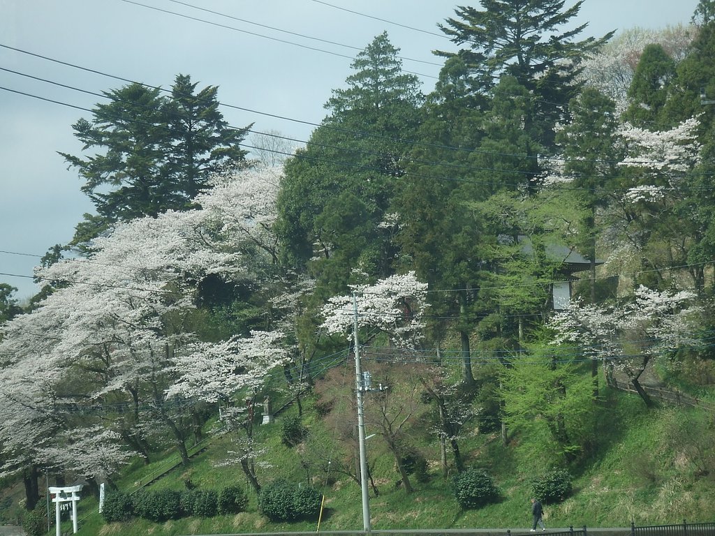 山郷