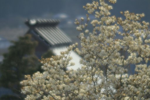 春の山里