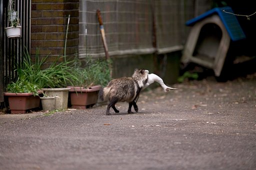 兄弟も子育てに必死です。