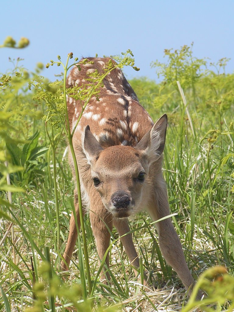 赤ちゃん